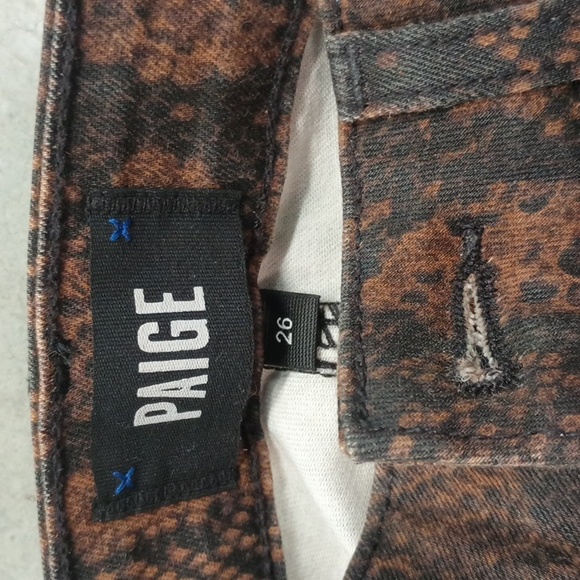 Paige - Picture 3 of 3